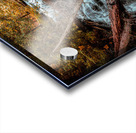 Autumns Liquid Symphony Acrylic print