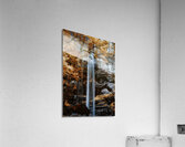 Tranquil Veil - Golden Falls  Acrylic Print