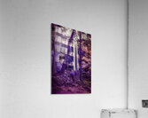 Violet Dream  Acrylic Print