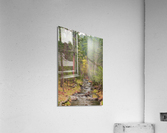 Coolidge Creek - 1  Acrylic Print