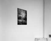 Ansel Aspen Reverie: Capturing the Spirit in Infrared  Acrylic Print
