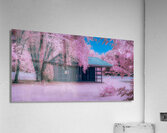 Infrared Delaware Barn  Acrylic Print