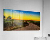 Sunset Serendipity: A Charming Ride Through Rural Floridas Ocala Countryside  Acrylic Print