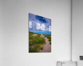 Dune Path - 2  Acrylic Print