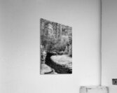 Infrared Oasis: Grace Coolidge Creek  Acrylic Print