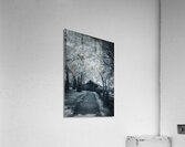 Barn Path - 1  Acrylic Print