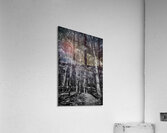 Tall Dark Symphony: A Winters Tale in Infrared Black and White  Acrylic Print