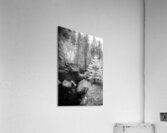 Monochromatic Serenity: Exploring Grace Coolidge Creek in Custer - 2  Acrylic Print