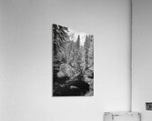 Monochromatic Serenity: Exploring Grace Coolidge Creek in Custer - Tall  Acrylic Print