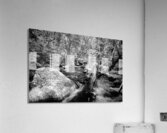 Monochromatic Serenity: Exploring Grace Coolidge Creek in Custer  Acrylic Print
