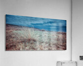 Lone Star Grass in Shamrock  Acrylic Print