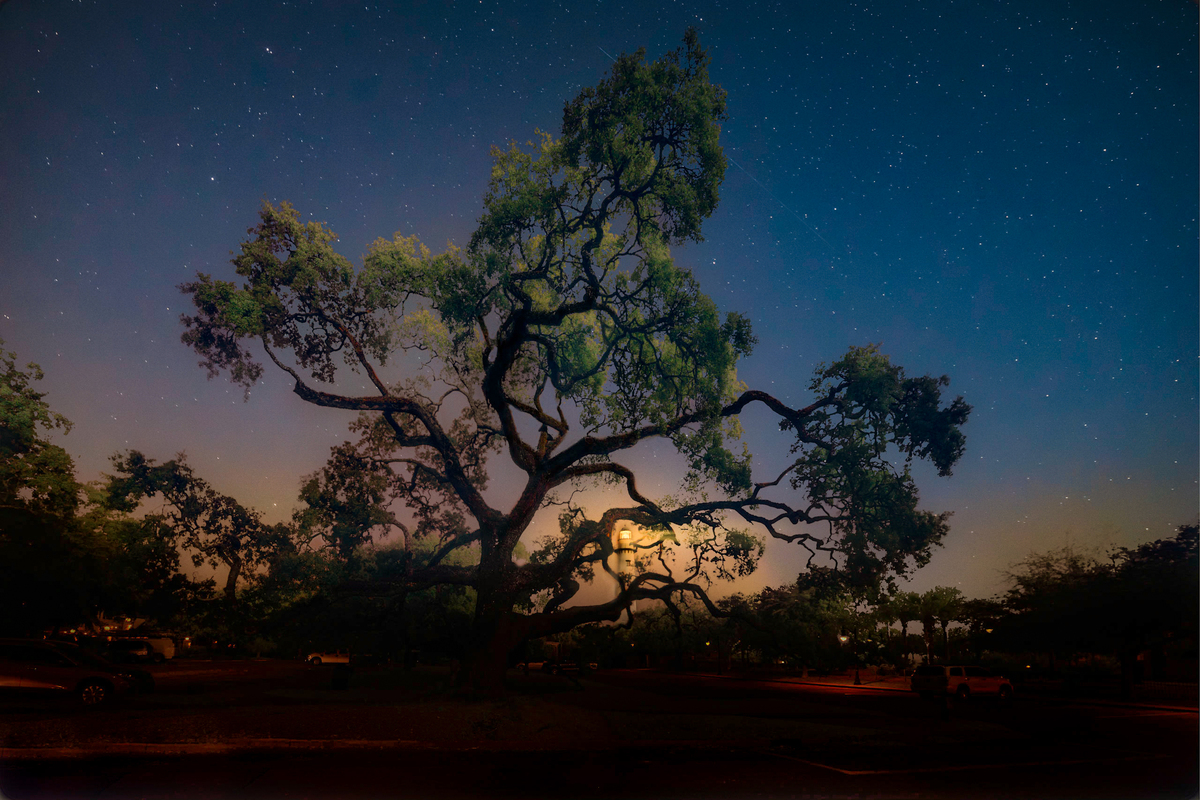 Impression de cadre personnalisé