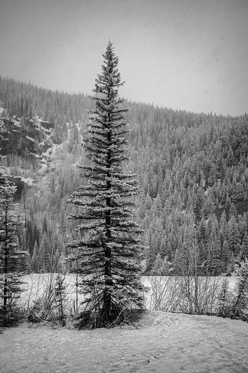 Impression de cadre personnalisé