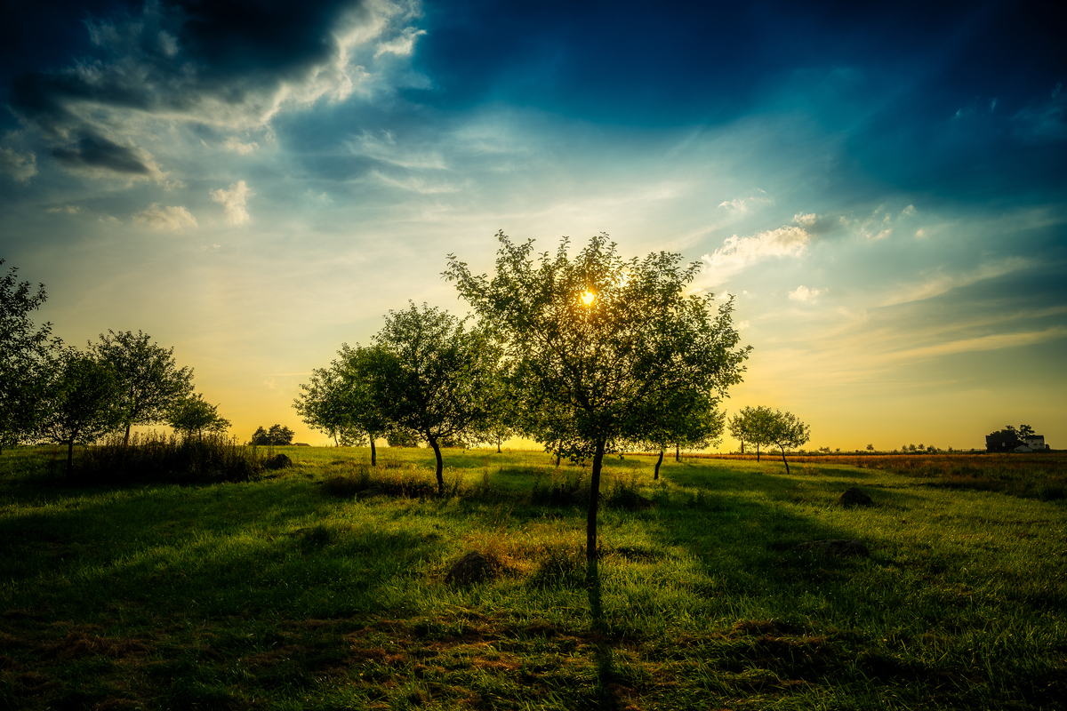 Impression de cadre personnalisé