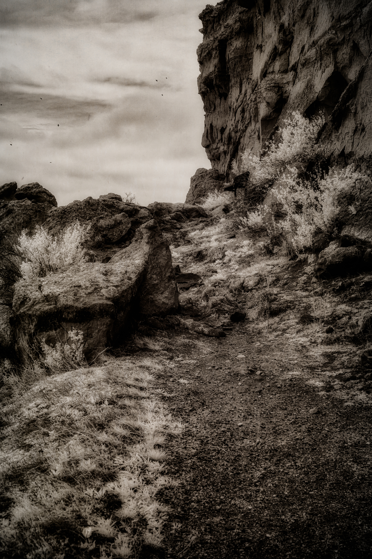 Impression de cadre personnalisé