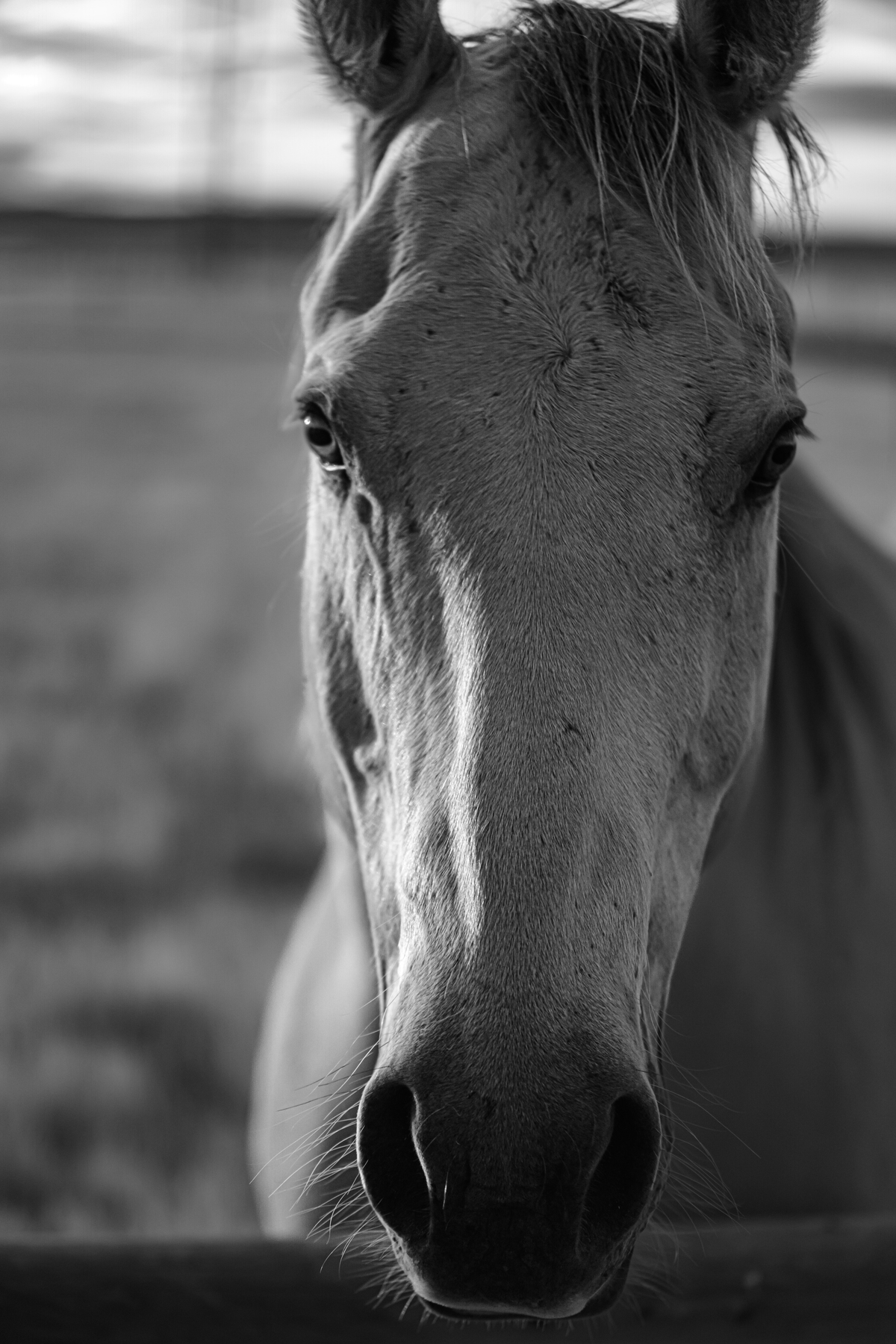 Impression de cadre personnalisé