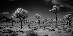 Ghostly Terrain Under Infinite Sky by Dream World Images