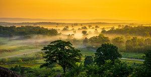 Foggy Bottom by Dream World Images