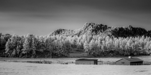Farm at the base of a mountain