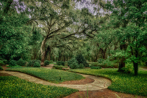 Labyrinths Promise by Dream World Images