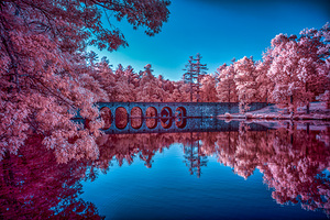 Pink Arches by Dream World Images