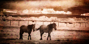 Vintage Spirits   Timeless Wyoming by Dream World Images