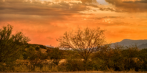 Eternal Calm of  Desert Hues