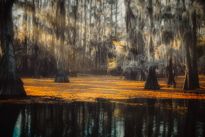 Amber Awakening by Dream World Images