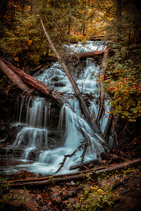 Autumns Liquid Symphony