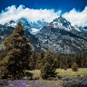 Teton Grandeur   Mountain Cathedra