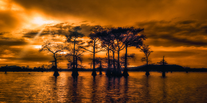 Guardians at Dusk by Dream World Images