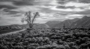 Sage and Solitude by Dream World Images