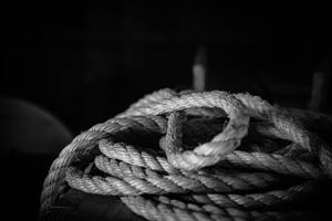 Tangled Luminescence by Dream World Images