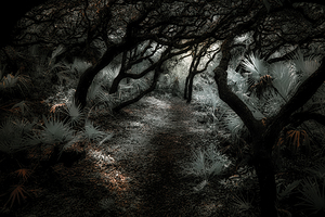 Arcadia’s Veil: The Secret Path by Dream World Images