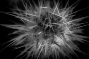 Threading the Needle of Light by Dream World Images