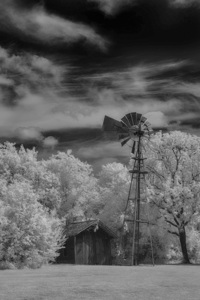 Solitude in Timber and Whee by Dream World Images