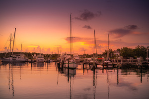 Tidal Treasures: A Visual Symphony of Beauforts Beauty by Dream World Images