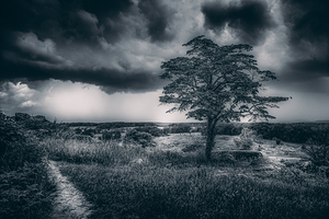 Storm Watch at Little Round Top