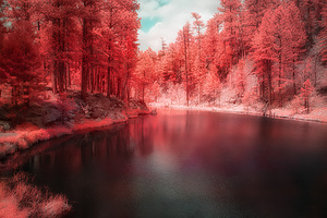 Cooliage Red Pond