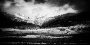 Mountains Embrace: Lone Valley Tree by Dream World Images