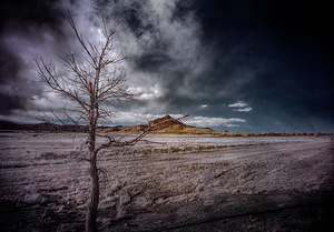 Realm of the Unknown: Lone Tree Mount