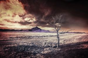 Otherworld in New Mexico by Dream World Images
