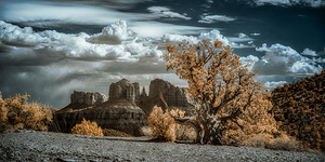 Solitary Desert Dreams