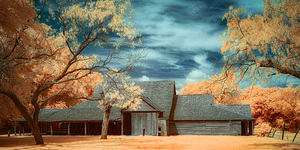 Tapestry of Light and Timber by Dream World Images