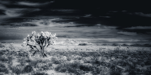 Rugged Silence Under Restless Skies