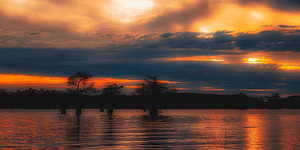 Breaking Through by Dream World Images