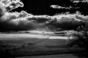Endless Fenceline   Wyoming Dreams