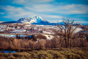 Winters Crown in Blue by Dream World Images