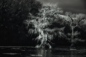 Luminous Spirits by Dream World Images