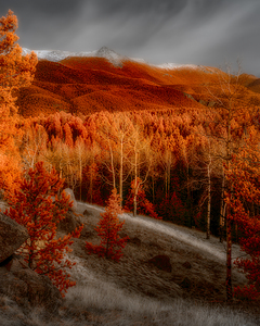 Mueller Aspen Series: Autumns Palette